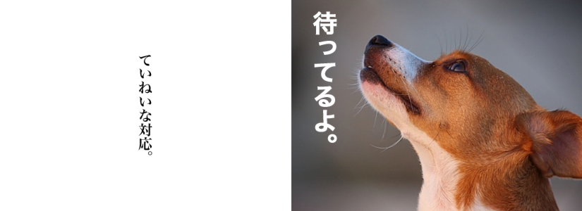 �҂��Ă��.psd