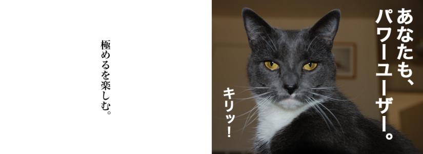 ������B.psd