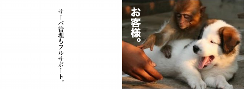 ���q�l�B.psd